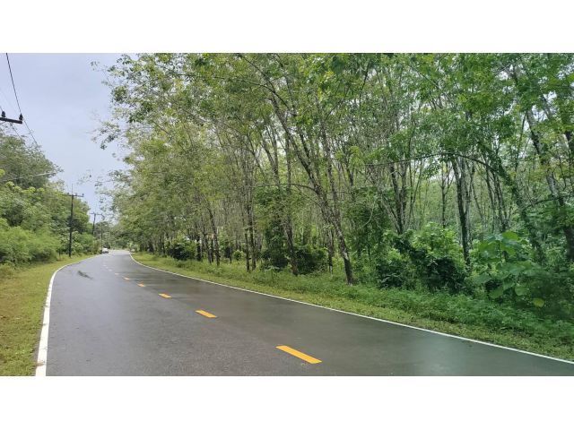 ** LAND FOR SALE PHUKET** เนื้อที่รวม 4-0-00 ไร่ ติดถนนลาดยาง บ้านด่านหยิด ไร่ละ 3.9 ล้านบาท
