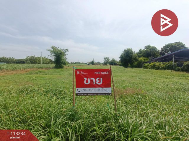 ขายที่ดิน เนื้อที่ 4 ไร่ 2 งาน 56 ตร.วา