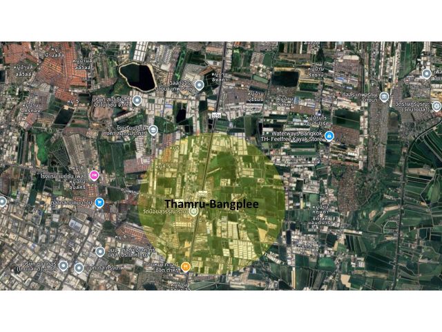ขายที่ดิน 29 ไร่ ถนน ตำหรุ-บางพลี อนาคตมีเปลี่ยนผังสีเป็นสีเหลือง