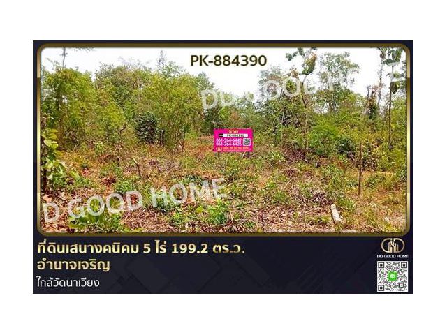 PK-884390 ที่ดินเสนางคนิคม 5 ไร่ 199.2 ตร.ว. อำนาจเจริญ ใกล้วัดนาเวียง