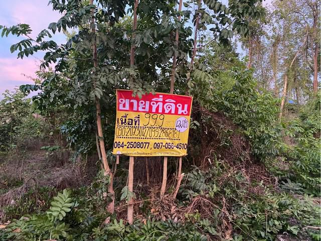 ขายที่ดินเปล่า  99.9 วา  2 แปลงติดกัน   ใกล้ท็อปแลนด์คอนกรีต เมือ