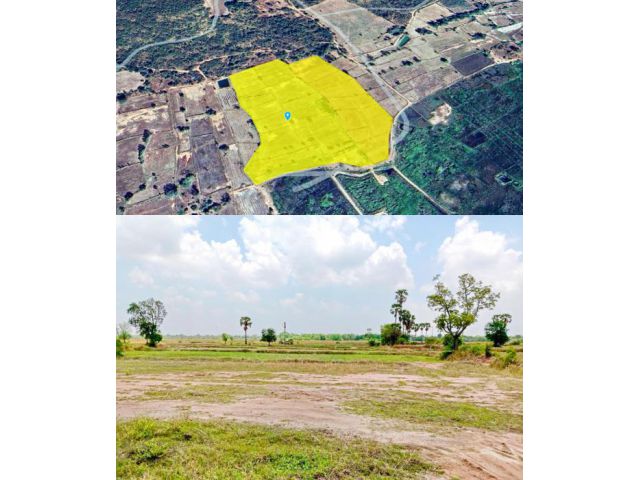 ที่ดิน 33 ไร่โฉนด ตำบลใหม่ อำเภอโนนสูง จังหวัดนครราชสีมา ติดถนนสาธารณะ