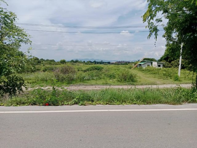ขายที่ดินเรียบทางรถไฟเชียงใหม่ - ลำพูน(ด้านหลังดูโฮมซุปเปอร์ไฮเวย์)  เนื้อที่ 14 ไร่  48 ตารางวา