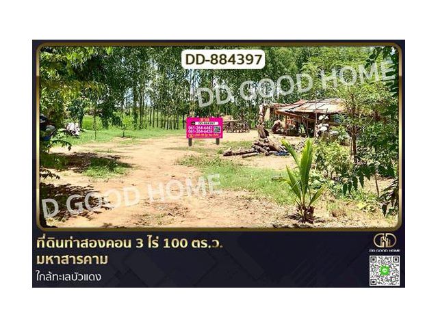 DD-884397 ที่ดินท่าสองคอน 3 ไร่ 100 ตร.ว. มหาสารคาม ใกล้ทะเลบัวแดง
