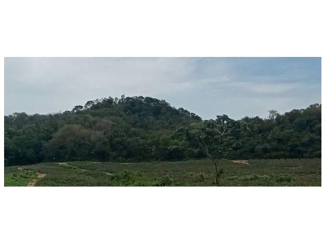 ขายที่ดินโฉนด 45 ไร่ บนเนิน ท็อปวิวเขา หน้าที่ดินติดทางหลวง ท้ายที่ดินติดเขา