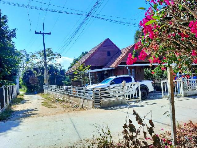 หลังมุม 62ตร.วา.242 แม่ริม 2 นอน เทศบาลแม่โจ้  ให้เช่าบ้านเดี่ยว