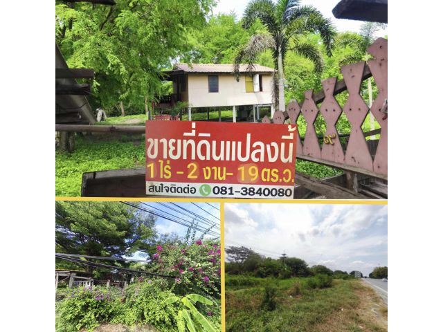 ขายที่ดินติดถนนสายเอเซีย 1 ไร่ 2 งาน 19 ตรว. ต.หลักฟ้า อ.ไชโย ฝั่งขาเข้ากทม.ช่วงกม.62 ฝั่งตรงข้ามกับปั้มน้ำมัน PT