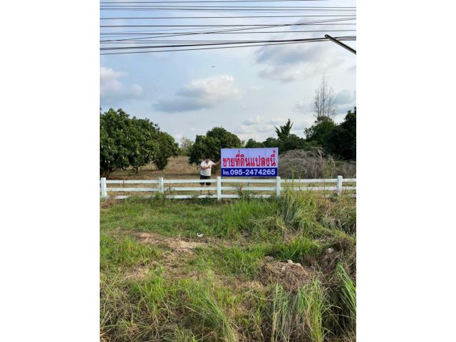 เจ้าของขายเอง 5ไร่ติดทล.ชนบท4002  ต .เขากระปุก อ.ท่ายาง จ.เพชรบุรี อยู่ก่อนถึงโครงการชั่งหัวมัน 12 กิโล