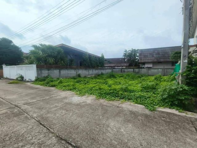 ขายที่ดินตำบลดอนแก้วแม่ริมในหมู่บ้านพิงค์ดอยพร้อมโอน