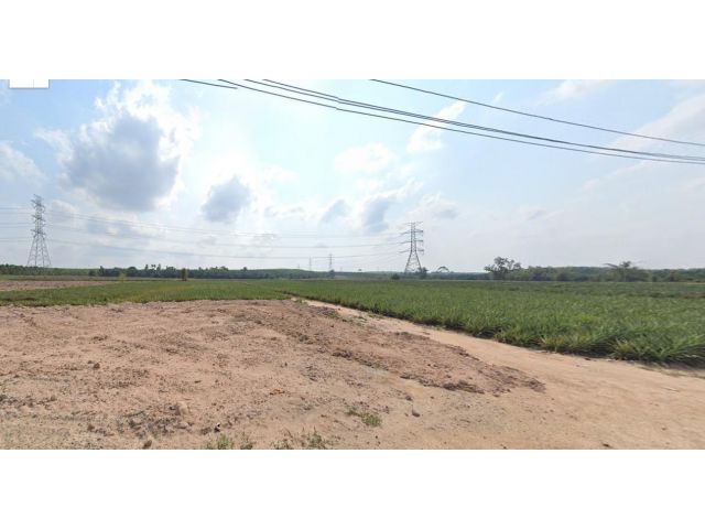 ขายที่ดิน 7 ไร่ ใน อ.ปลวกแดง