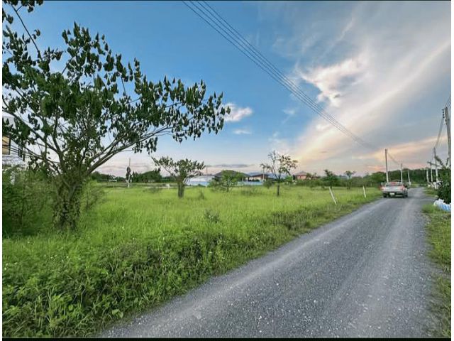 ขายที่ดินตำบลเหมืองแก้วแม่ริมทำเลดีโฉนดพร้อมโอน