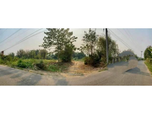 ขายที่ดินติดลำห้วยบ้านแมสันป่าตองติดถนนพร้อมโอน