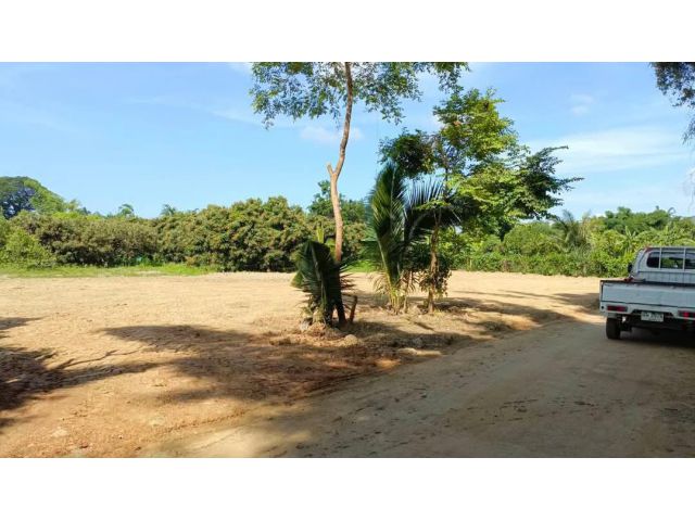 ขายที่ดินตำบลหนองควายหางดงถมดินเรียบร้อยพร้อมโอน