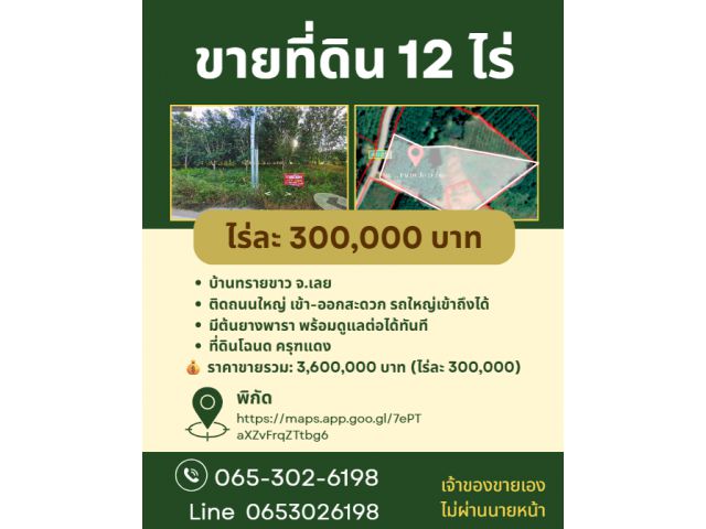 ขายที่ดินสวนยาง 12 ไร่ ติดถนนลาดยาง บ้านทรายขาว จ.เลย เจ้าของขายเอง!