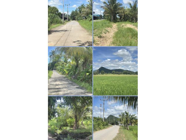 ที่ดินสวน วิวเขา