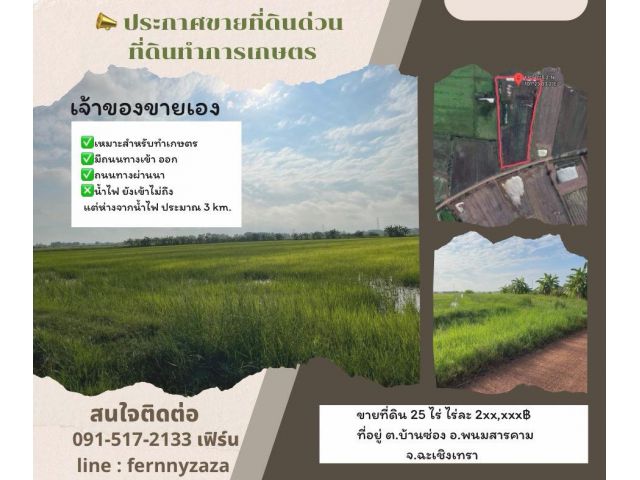 ขายที่ดินทำเกษตรถูกๆ 25 ไร่