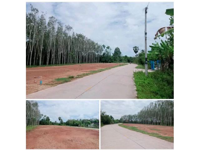 ที่ดินสวยถมแล้ว ใกล้เทศบาลคลองแห 1 กิโล ห้องละ300,000  ไฟฟ้าประปาผ่าน ไม่เปลี่ยว ใกล้หมู่บ้านปาล์มสปริง