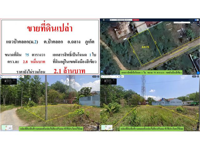 ขายที่ดินเปล่า ขนาด 75 ตรว.  แถวป่าคลอก(ม.2)  ต.ป่าคลอก  อ.ถลาง  ภูเก็ต