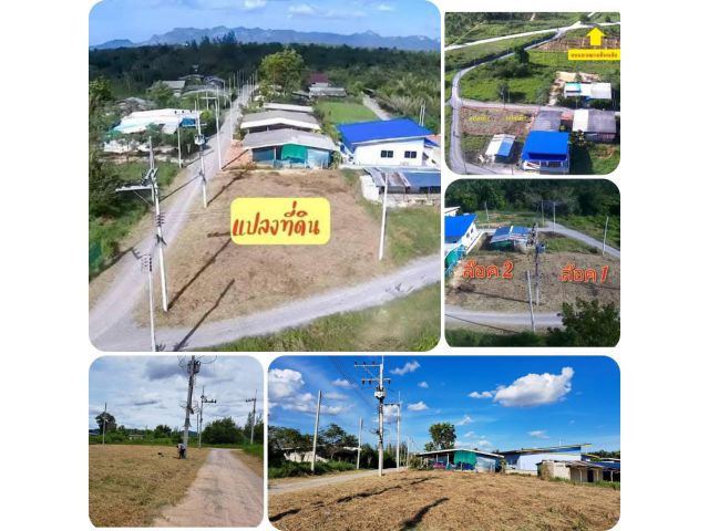 ลดราคาพิเศษ!!! ขายที่ดิน 57 ตรว. ราคา 180,000 บ. บ้านหนองจิกพัฒนา ต.ไร่ใหม่ อ.สามร้อยยอด จ.ประจวบคีรีขันธ์