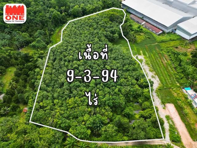 ที่ดินสวนผสม 9-3-94 ไร่ มียางพารา 550 ต้น ต้นมังคุด 163 ต้น
