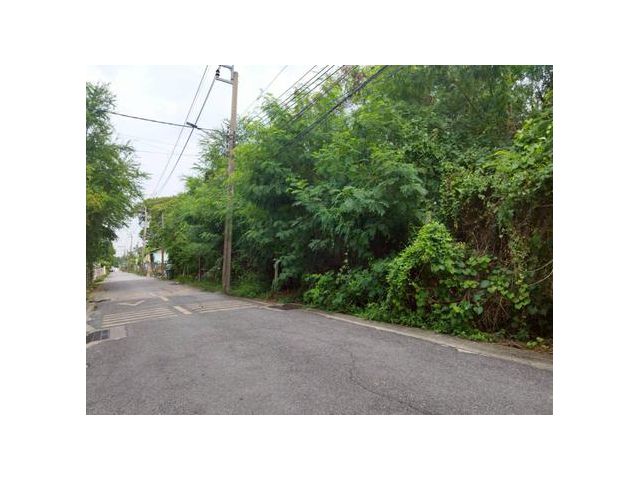 ขายที่ดิน 184 ตร.ว. ซ.คู้บอน 13 ตรงข้ามทิพย์ทอง อพาร์ทเมนท์ ใกล้ถนนคู้บอน