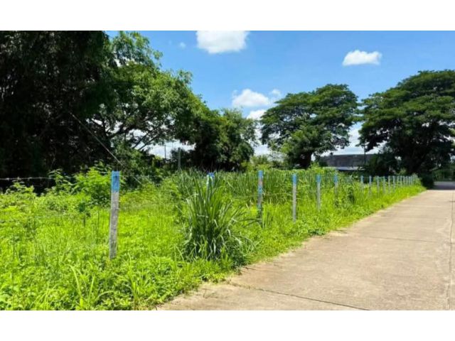 ขายที่ดินตำบลสุเทพติดถนนคอนกรีตโฉนดพร้อมโอน