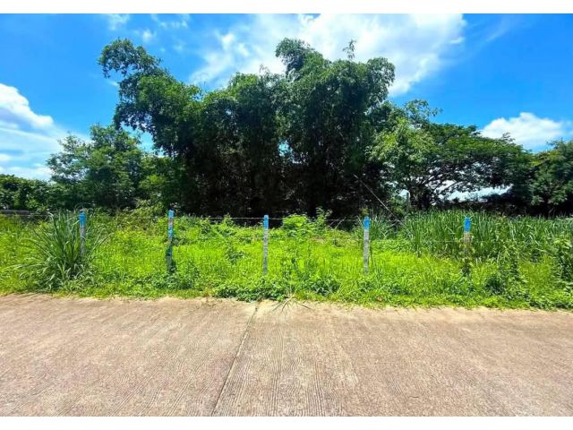 ขายที่ดินตำบลสุเทพติดถนนบ้านช่างทองโฉนดพร้อมโอน