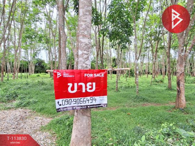 ขายที่ดิน เนื้อที่ 7 ไร่ 1 งาน 50 ตร.วา ท่าศาลา นครศรีธรรมราช