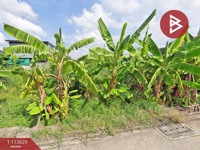 ขายที่ดิน เนื้อที่ 40 ตร.วา ลาดกระบัง กรุงเทพมหานคร