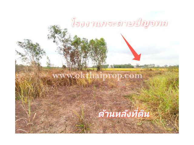 ที่ดิน ถนน3111 อ.บางไทร จ.อยุธยา