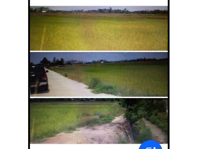 ขายด่วน!ที่นาติดถนนสวยมาก