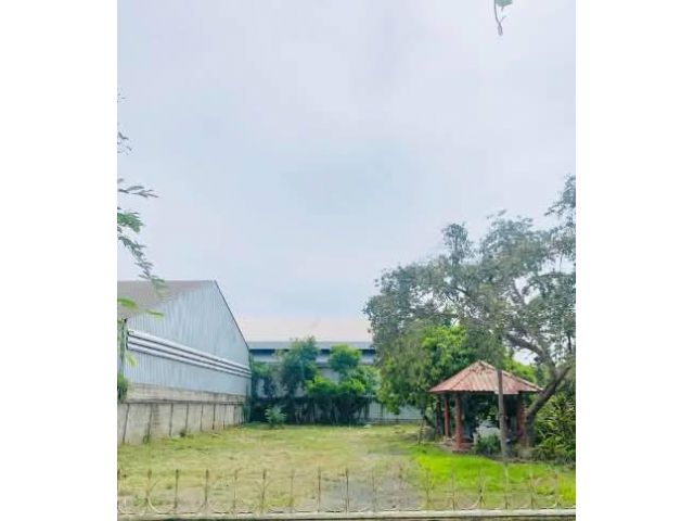 ขายที่ดินตำบลยางเนิ้งสารภีน้ำไฟพร้อมพร้อมโอน