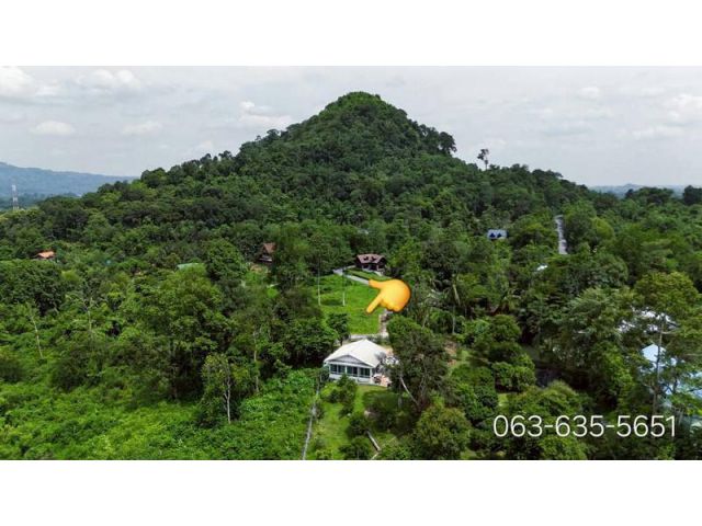 มาแล้วที่เนินแปลงเล็กที่รอคอย 169 ตรว. ต.สาริกา อ.เมืองนครนายก