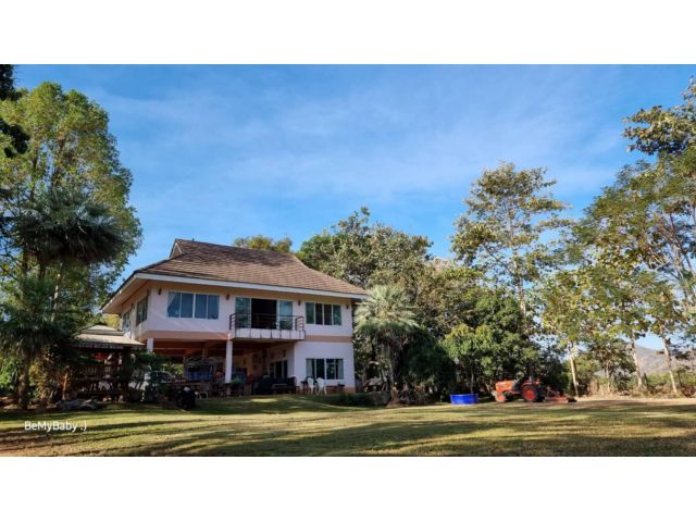 ขายบ้านสวนเขาใหญ่ พร้อมสวนผลไม้ ไม้เศรษฐกิจ ที่ดิน 19ไร่ เขาวง หนองน้ำแดง ปากช่อง นครราชสีมา วิวเขาสวยมาก ติดถนนลาดยาง 7