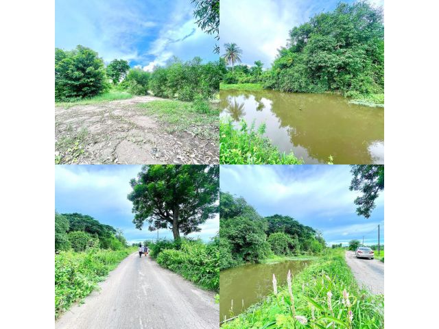 ขายสวนมะม่วง 1-2 งาน ต.ดงละคร อ.เมือง จ.นครนายก ติดถนนลาดยาง ติดคลอง