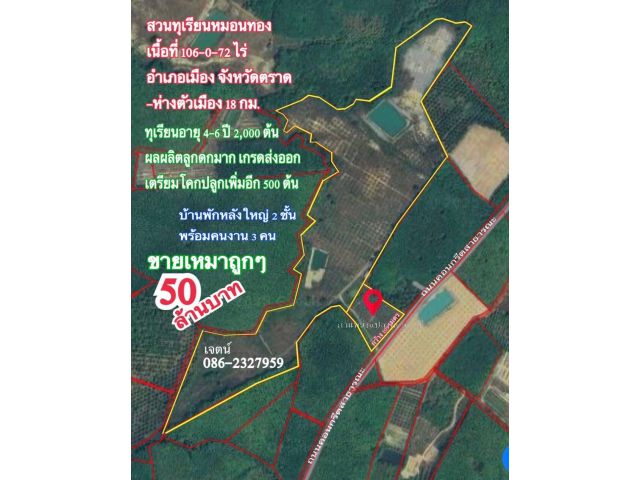 ขายราคาถูก สวนทุเรียนโฉนดรวม 106 ไร่ อ.เมือง จ.ตราด