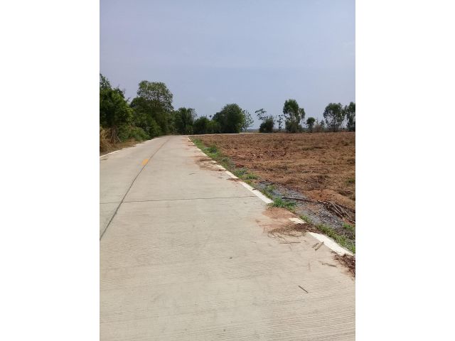 ขายที่ดินนาวังหิน 7 ไร่ ติดถนนคอนกรีตใกล้ถนนสัตหีบ-พนมสารคาม(331)-2.2 กม. อ.พนัสนิคม จ.ชลบุรี