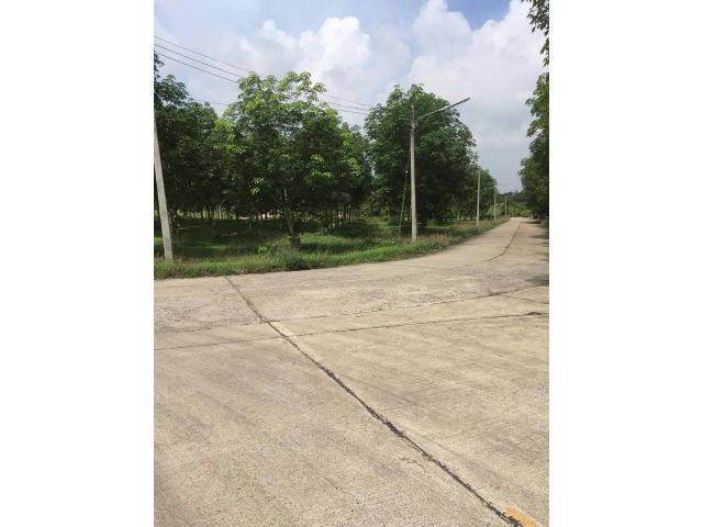 ขายที่ดินพร้อมสวนยาง 5 ไร่ ติดถนน3ด้าน ใกล้ถ.เส้นสัตหีบ-พนมสารคาม(331)-1.3 กม. อ.เกาะจันทร์ จ.ชลบุรี