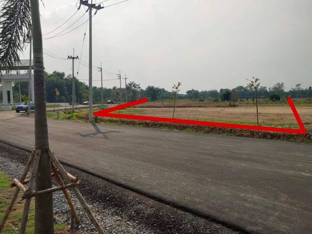 ขายที่ดินนาวังหิน 7 ไร่ ซอยพรประภานิมิตร5ใกล้ตลาดสดพนัสนิคม5กม. อ.พนัสนิคม ชลบุรี
