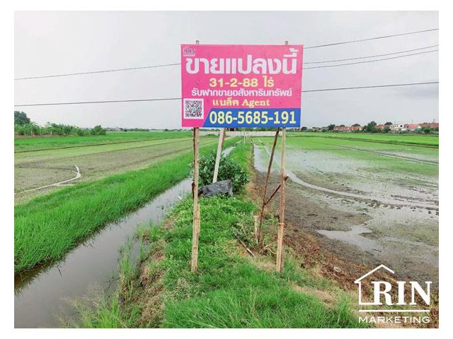 ขายที่ดิน 31 ไร่ ติดถนนคลอง 8 ลำลูกกา ปทุมธานี ใกล้วัดดอนใหญ่ 086-5685-191 เเบล็ค