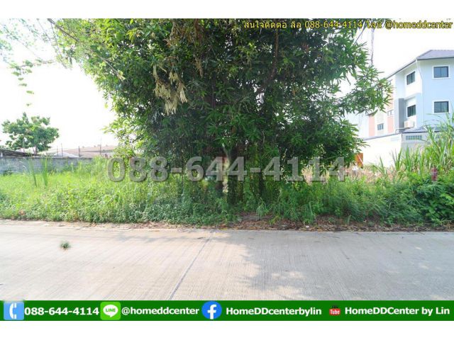 ขายที่ดิน 52 ตรว.พัฒนาชนบท 3 แยก 4 ลาดกระบัง ใกล้สนามบินสุวรรณภูมิ, แอร์ลิงก์ ลาดกระบัง เข้าออก ถ. ศรีนครินทร์-ร่มเกล้า