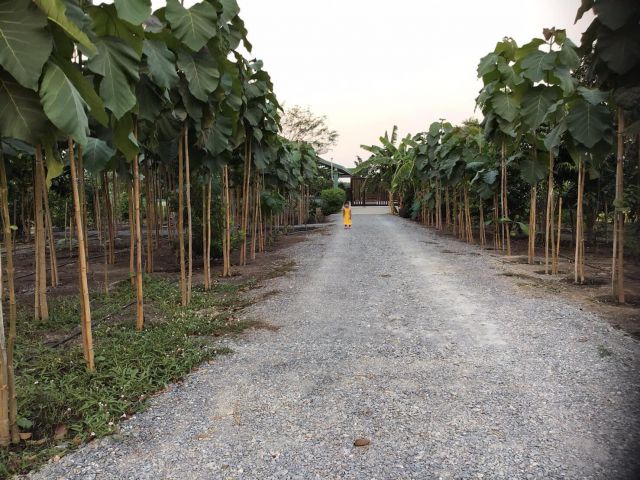 ขายบ้านเดี่ยวชั้นเดียวพร้อมที่ดิน 10 ไร่ จ.สุพรรณบุรี (S03-0713)