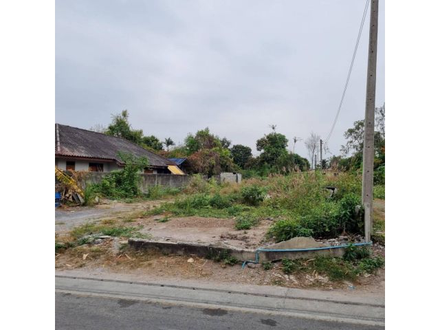 ขายที่ดิน ทำเลดี อ.สันทราย จ.เชียงใหม่