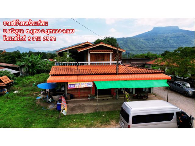 ขายบ้านพร้อมที่ดิน บ.ศรีอุบล ต.ภูหอ อ.ภูหลวง จ.เลย