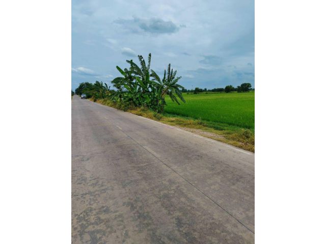 ขายที่ดินเปล่า ทำเลดีติดถนน ตำบลคลองสาม อำเภอคลองหลวง จังหวัดปทุมธานี