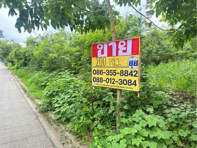 ขายที่ดิน 200ตารางวา  ซอยงามวงศ์วาน 43 แยก2-9 ทุ่งสองห้อง   หลักส