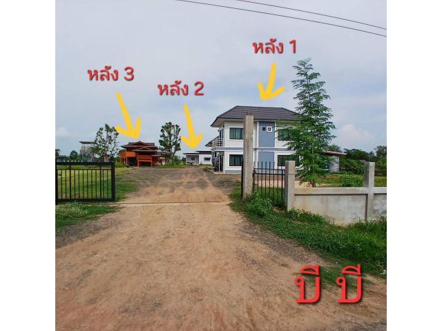 ขายบ้านพร้อมอยู่ 2 ไร่ ต.หนองตาด อ.เมือง จ.บุรีรัมย์