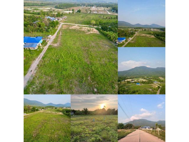 ขายที่ดินสัมผัสกับธรรมชาติ ใช้ชีวิตกับขุนเขาอากาศบริสุทธิ์