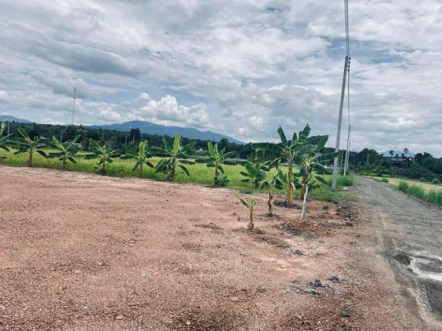 ขายที่ดินตำบลแม่แตงห่างถนนหลักเพียง 300เมตร