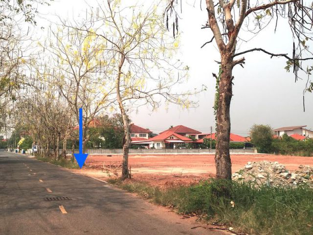 @##ขายที่ดินบ้านเกาะ 1-3-19 ไร่ ใกล้ห้างโกลบอลล์เฮ้าส์เมืองโคราช หน้ากว้าง 60 เมตร ลึก 55 เมตร เหมาะสร้างเป็น หอพัก อพาร์ทเม้นท์ อื่นๆ @#